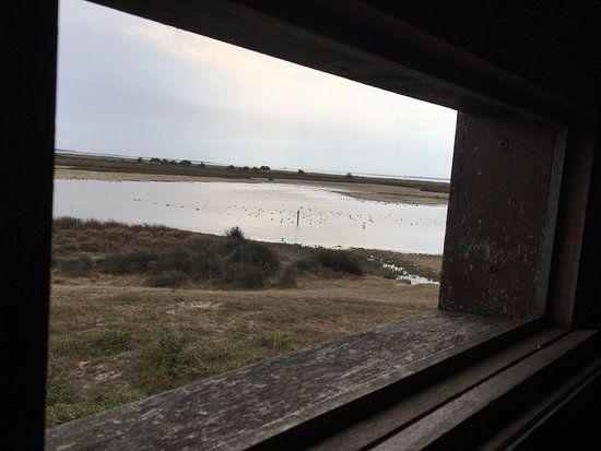 Reserve Naturelle du Marais d'Yves